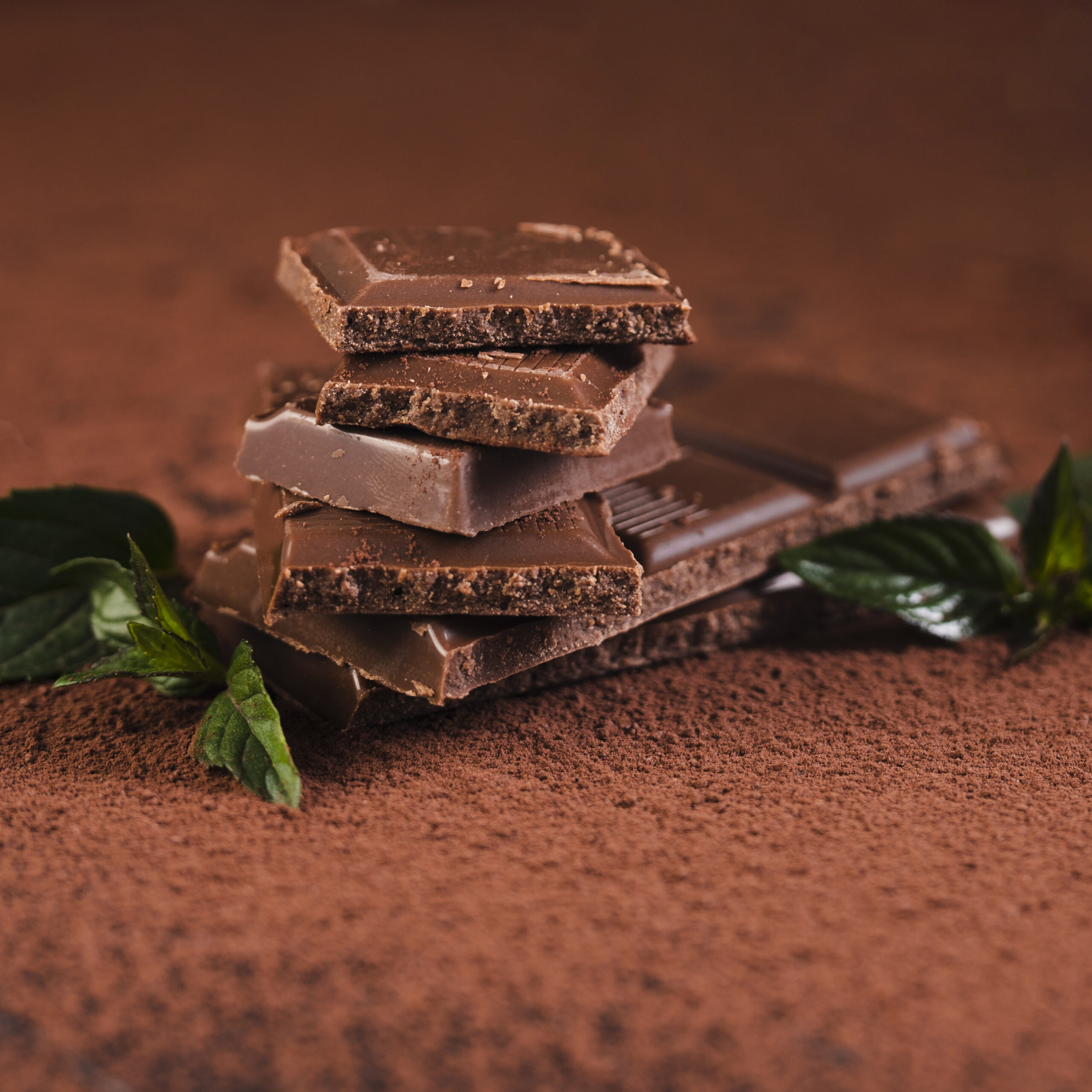 close-up-chocolate-bar-squares-cocoa-powder