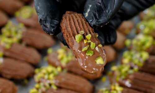 الصورة المصغرة للدورة