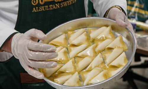 الصورة المصغرة للدورة