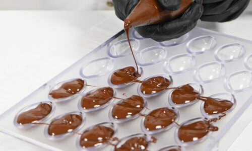 الصورة المصغرة للدورة