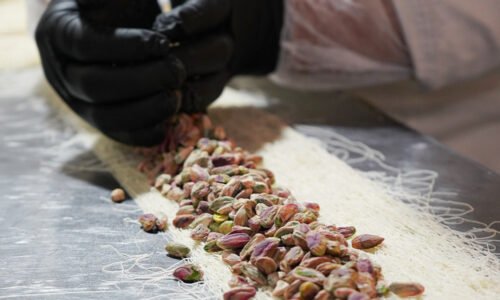 الصورة المصغرة للدورة