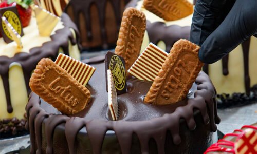 الصورة المصغرة للدورة