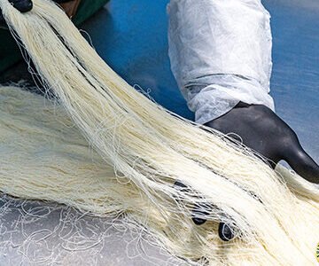 الصورة المصغرة للدورة